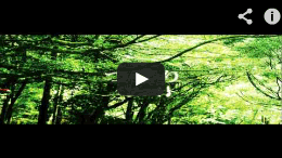 YouTubeで動画を見る